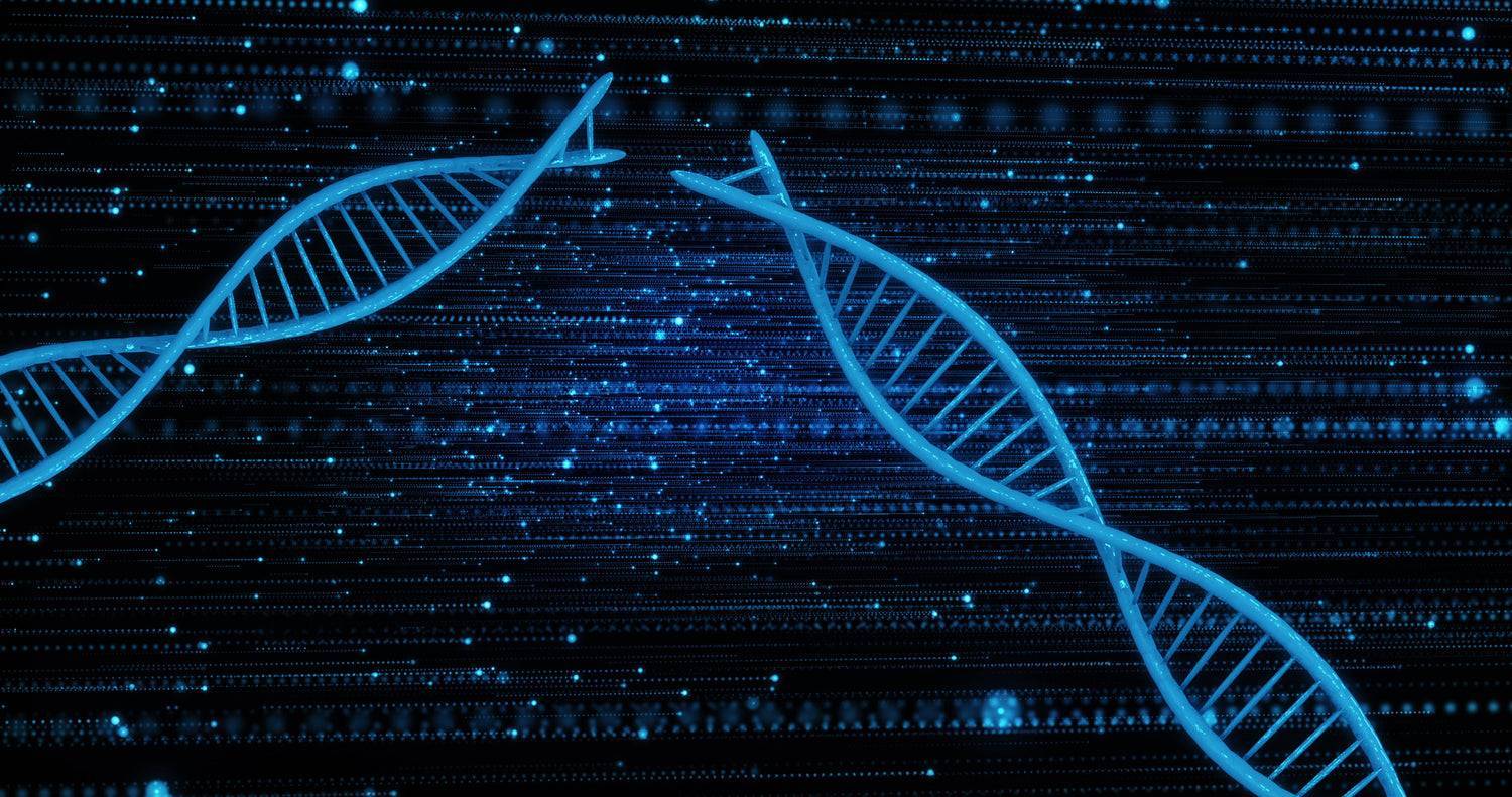 Iron Peptides